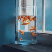 Người chơi Mai Xuân Trang đánh giá SoiCauMBKubet